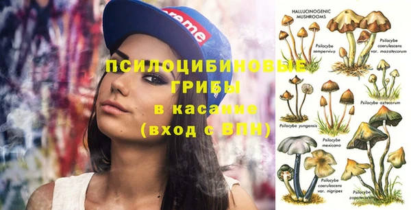spice Надым