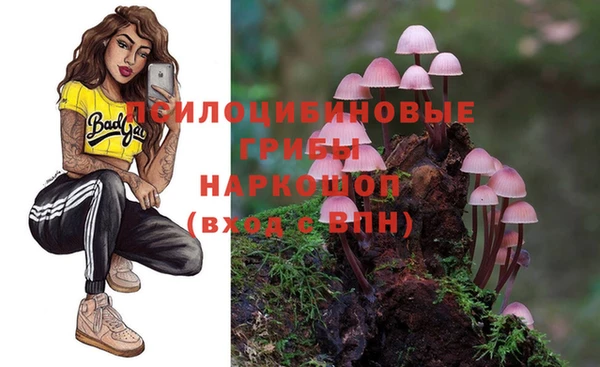 спиды Навашино